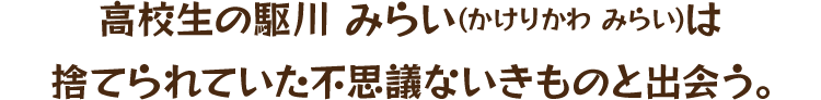 高校生の駆川 みらい(かけりかわ みらい)は捨てられていた不思議ないきものと出会う。