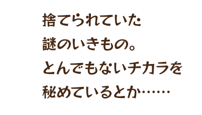 捨てられていた謎のいきもの。とんでもないチカラを秘めているとか……